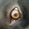 santiflo's picture