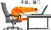 kyanhdang's picture